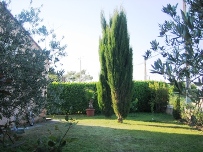 Der Garten des Ferienhauses in der Provence